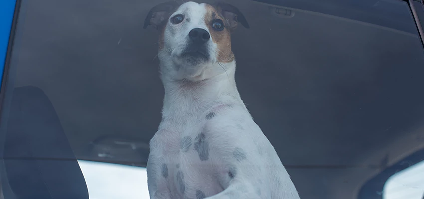 Car Lockout Solutions in Cotati, California